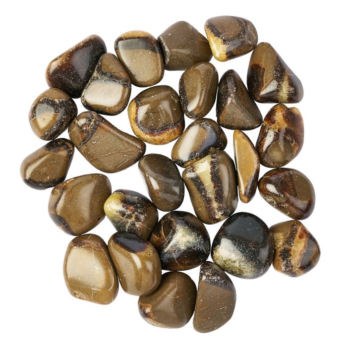 Septarian Medium Tumblestone, 20-30mm (250g) 