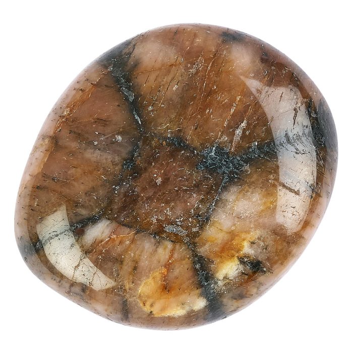 Chiastolite Smoothstone (1pc)