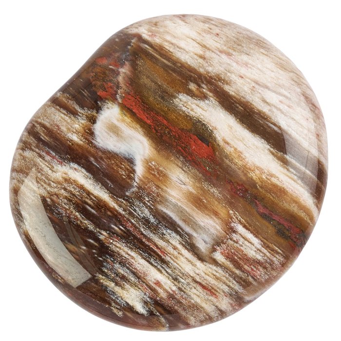 Petrified Wood Smoothstone (1pc)