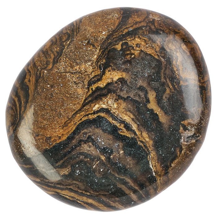 Stromatolite Smoothstone (1pc)