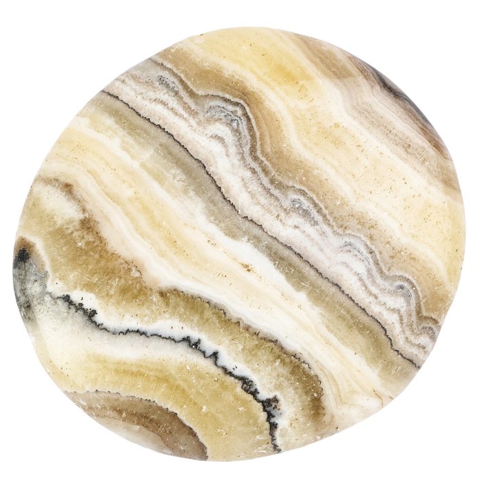Zebra Jasper Smoothstone (1pc)