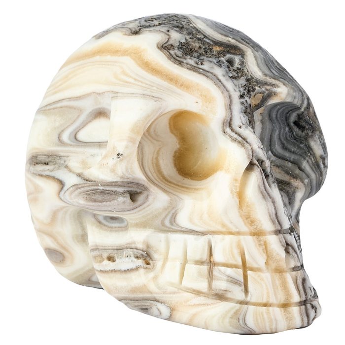 Banded Zebra Jasper Skull approx 60-70mm (A Grade) (1pc)