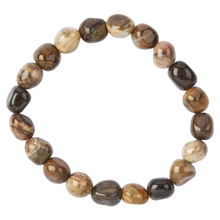 Petrified Wood Tumblestone Bracelet (1pc)