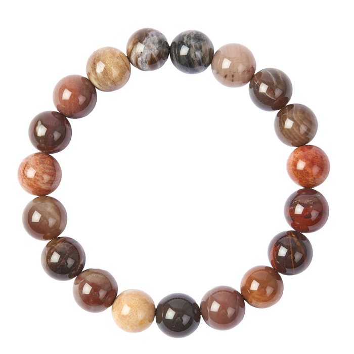 10mm Petrified Wood Bead Bracelet (1pc)