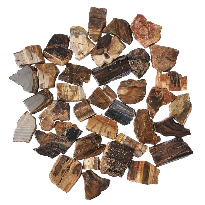 Petrified Wood Freeform Slabs, 4/15mm x 30/70mm (KGS)
