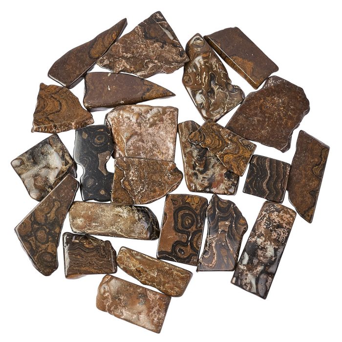 Stromatolite Freeform Slabs, 5/20mm x 50/100mm (KGS)