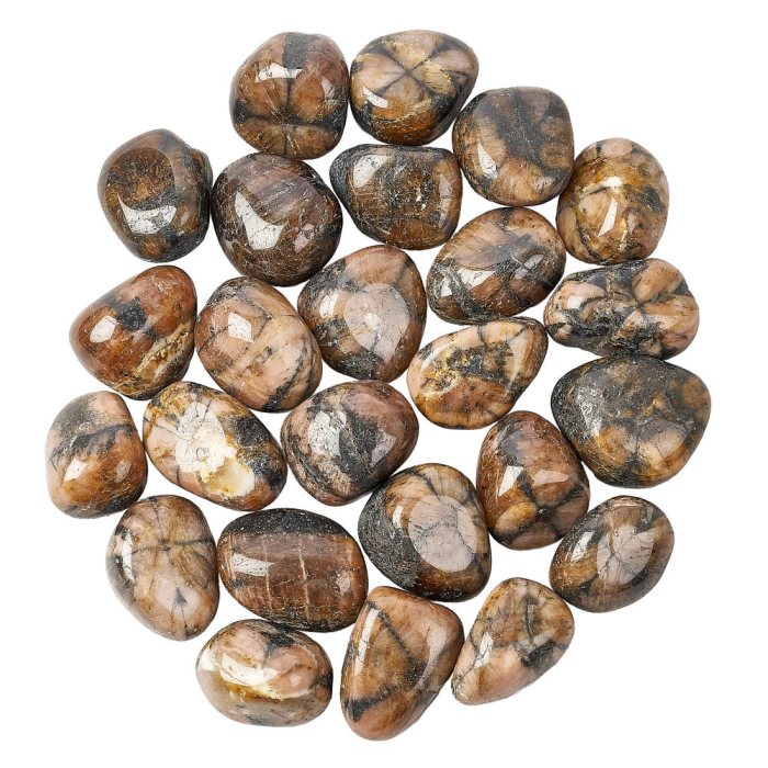 Chiastolite Tumblestone Refill (25pcs)