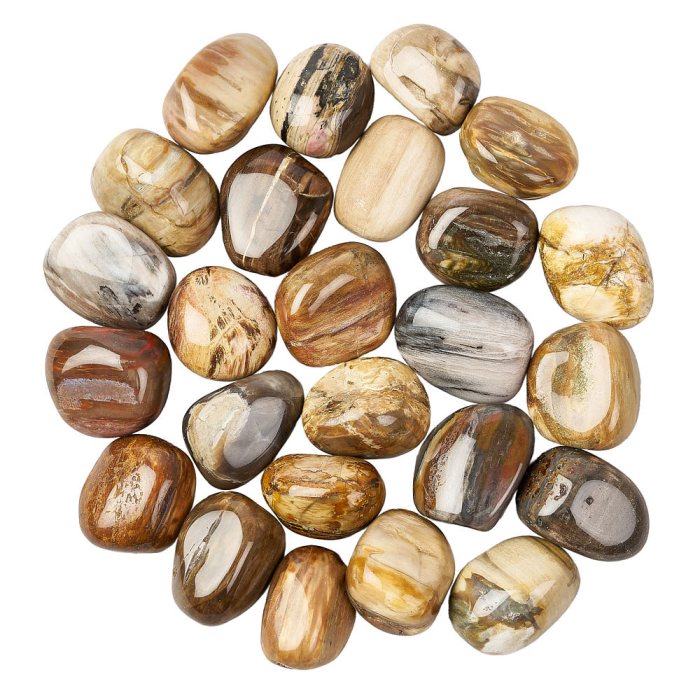 Petrified Wood Tumblestone Refill (25pcs)