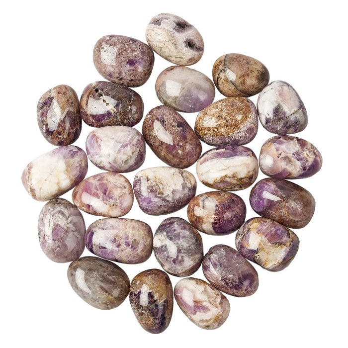 Dog Tooth Amethyst Tumblestone Refill (25pcs)