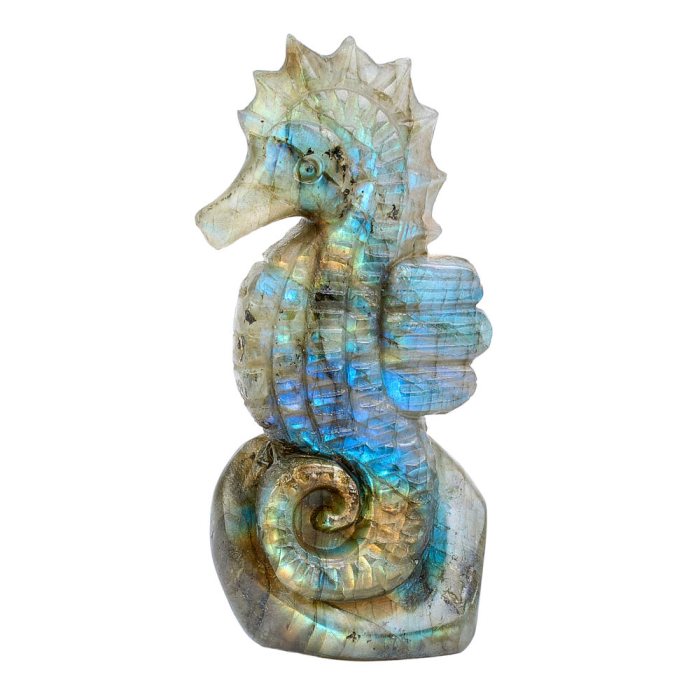 Labradorite Seahorse in Relief 3x1.5x0.75" (1pc)