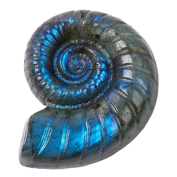 Labradorite Ammonite Carving, approx 40mm (1pc) NFD