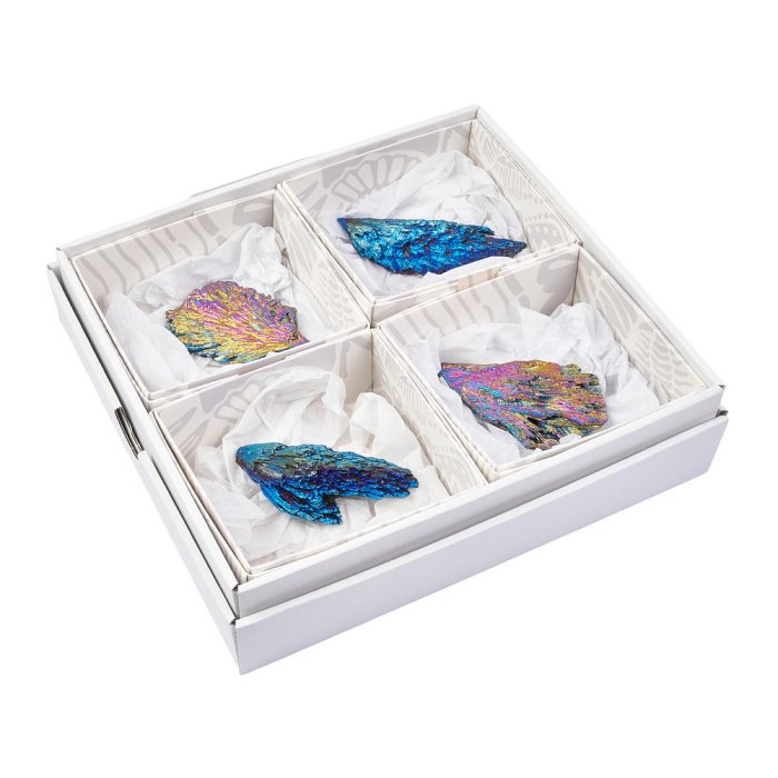 Witches Broom Aura (4pc)