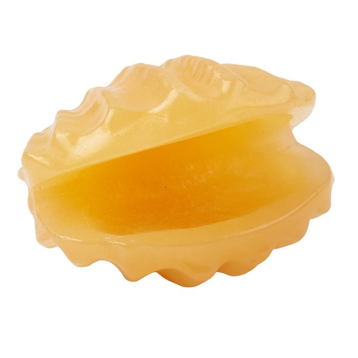 Orange Calcite Shell (1pc) NFD