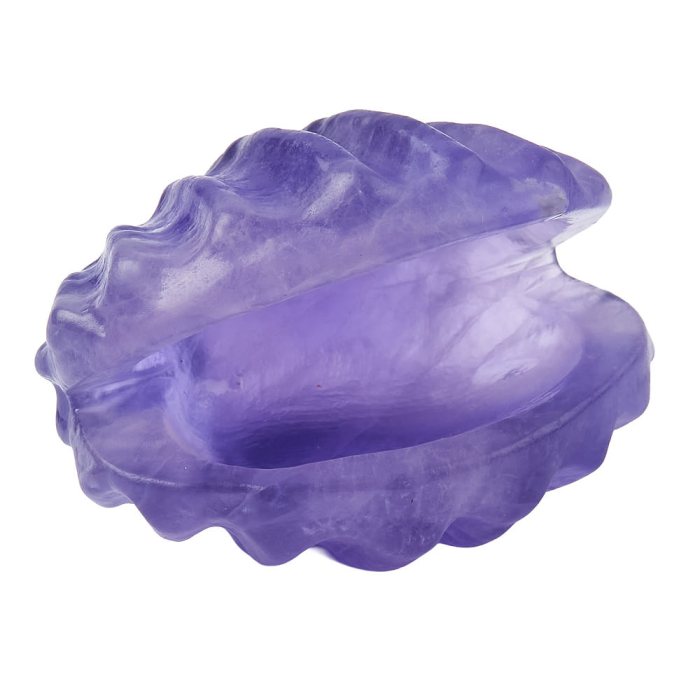 Purple Fluorite Shell (1pc) NFD