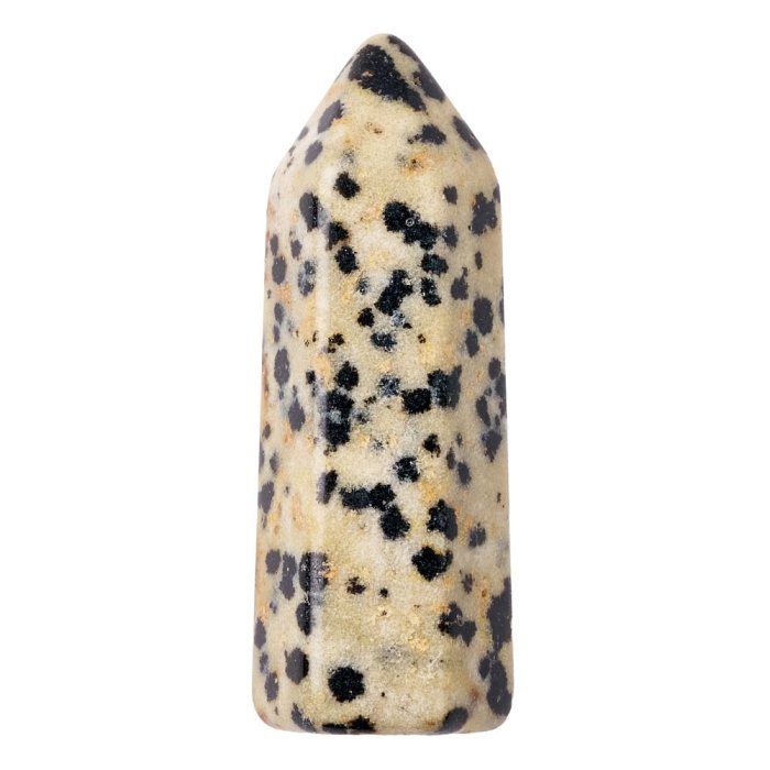 Dalmation Jasper Generator Point, 38mm (1pc) NFD