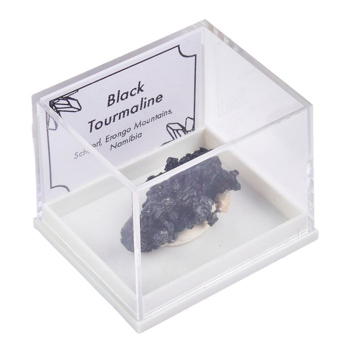 Black Tourmaline in Plastic box with ID card (1pc)