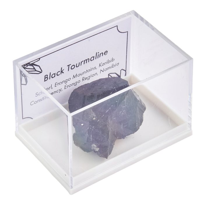 Black Tourmaline Specimen in Plastic box with ID card (1pc)