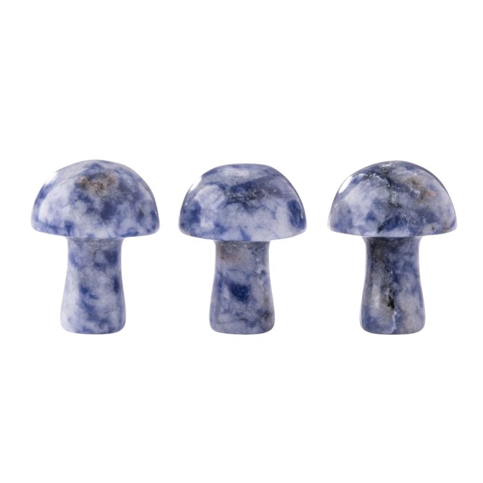 Gemstone Mushroom Sodalite (3pcs)