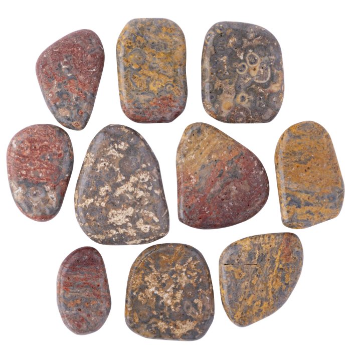 Leopardskin Jasper 35-45mm Smoothstone (10pcs) NFD