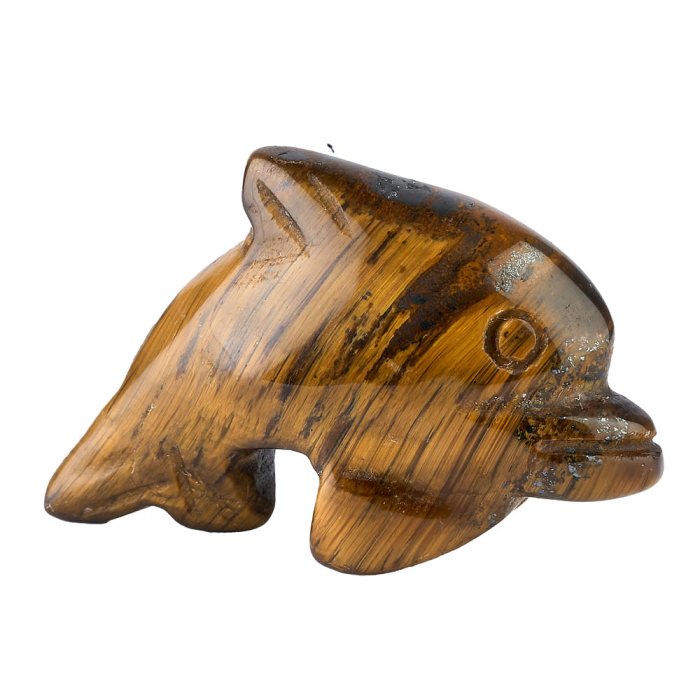 Tiger Eye Dolphin Carving (1pc)