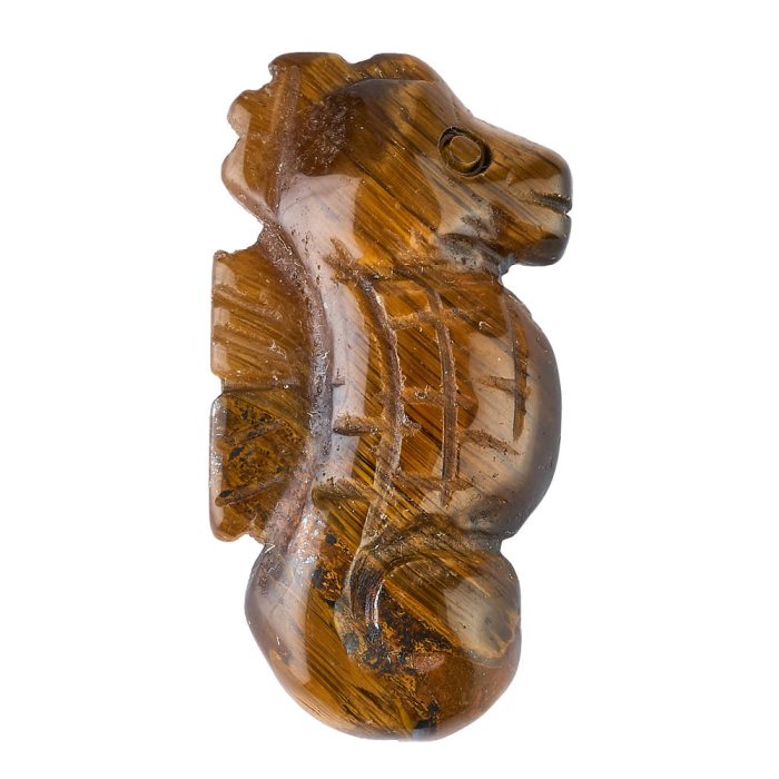 Tiger Eye Sea Horse Carving (1pc)