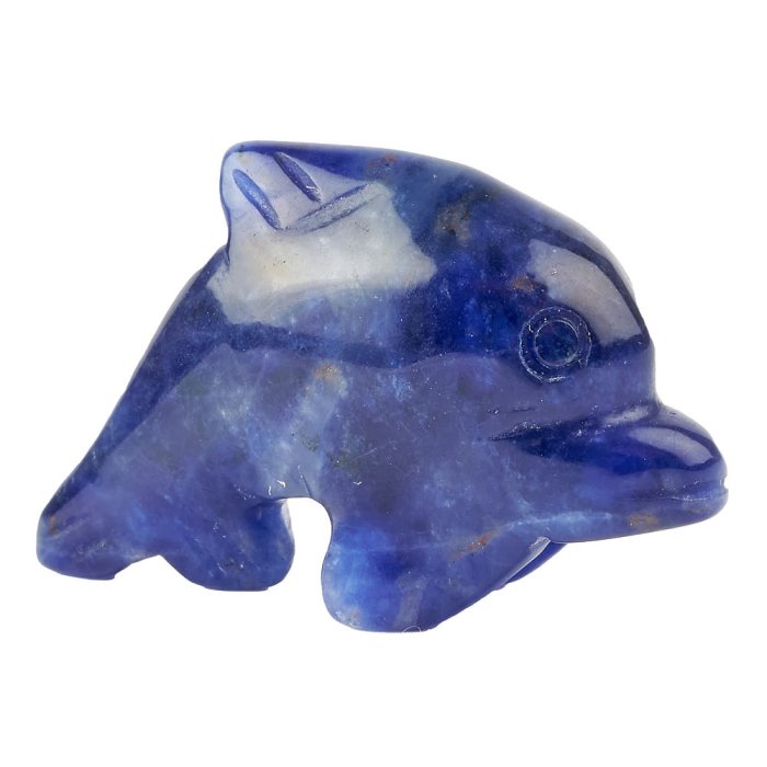 Sodalite Dolphin Carving (1pc)