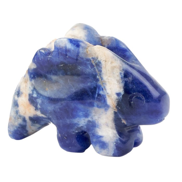 Sodalite Stegasaurus Carving (1pc)