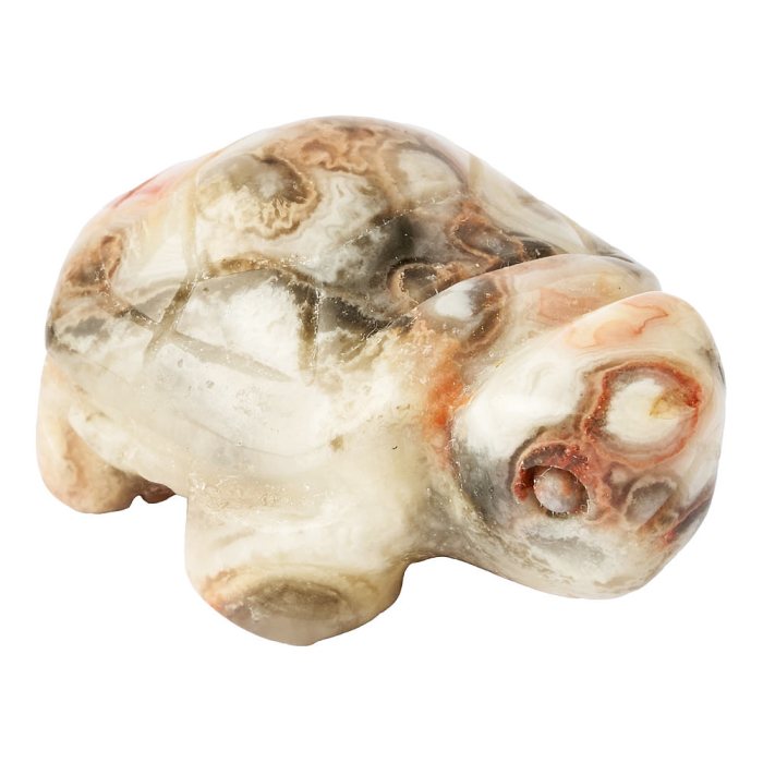Crazy Lace Agate Turtle Carving (1pc)