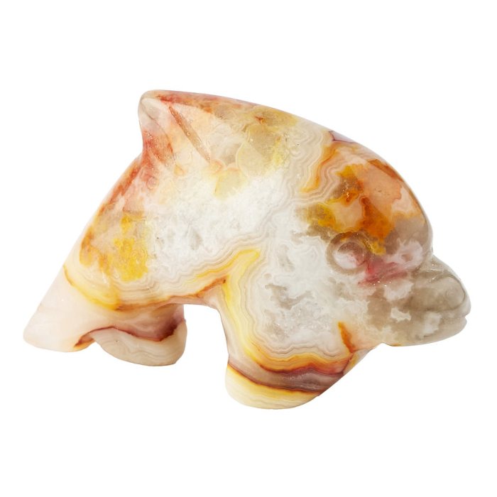Crazy Lace Agate Dolphin Carving (1pc)