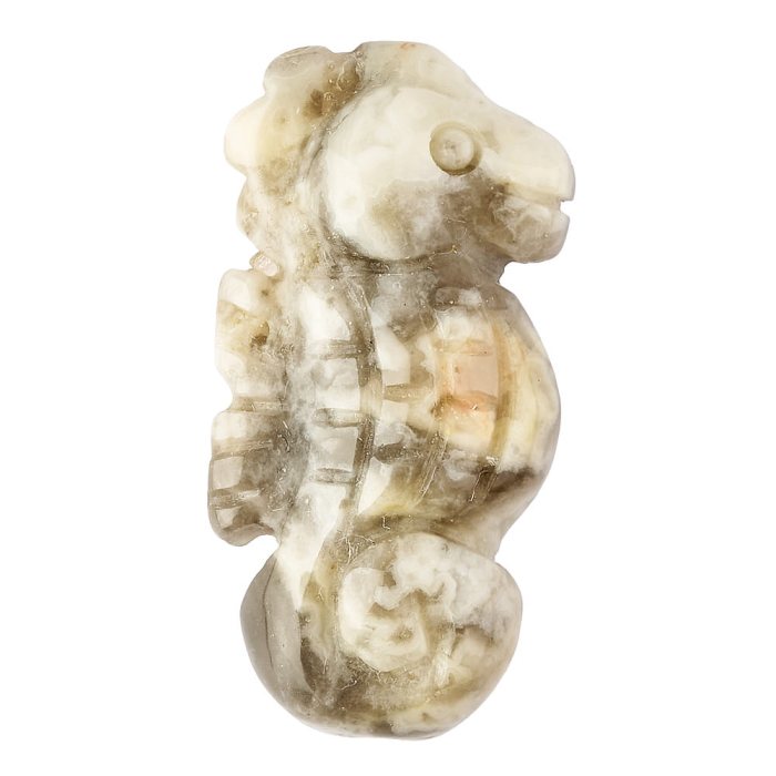 Crazy Lace Agate Sea Horse Carving (1pc)