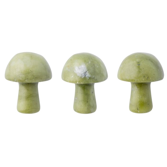Serpentine Mushroom (3pc) NETT