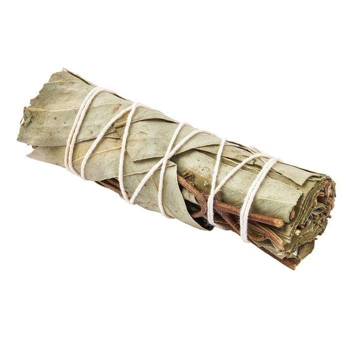 Eucalyptus Smudge Stick 4" (1pc) NFD