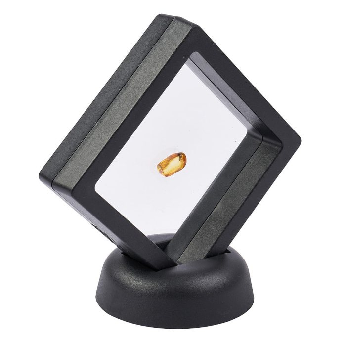 Insect in Amber (up to 0.5gram/pc) in 7cm Floating Frame