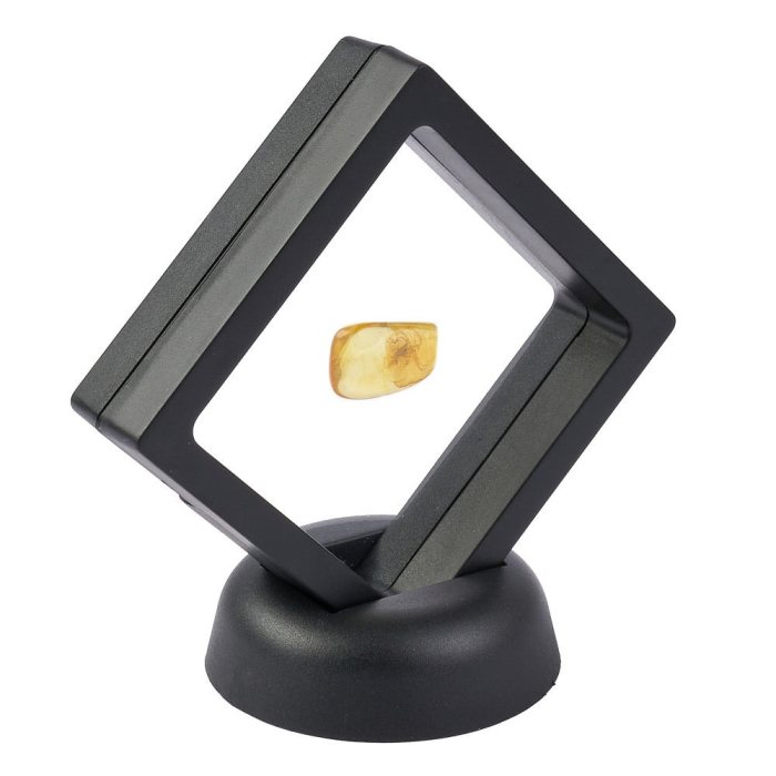 Insect in Amber (0.5-1grams) in 7cm floating frame (1pc)