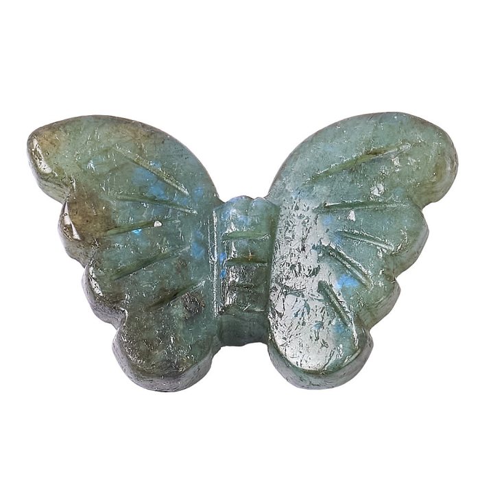 Labradorite Butterfly, 3.5cm (1pc) NFD