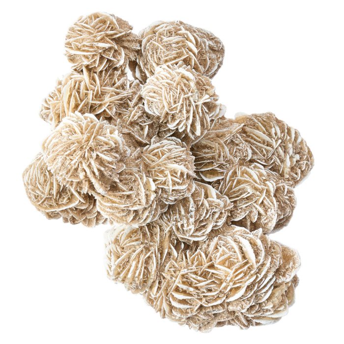 Sandrose 3-4kg/pc, Mexico (1pc) NETT