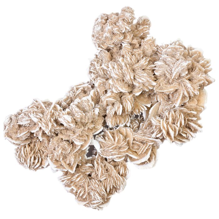 Sandrose up to 1kg per pc, Mexico (1pc) NETT