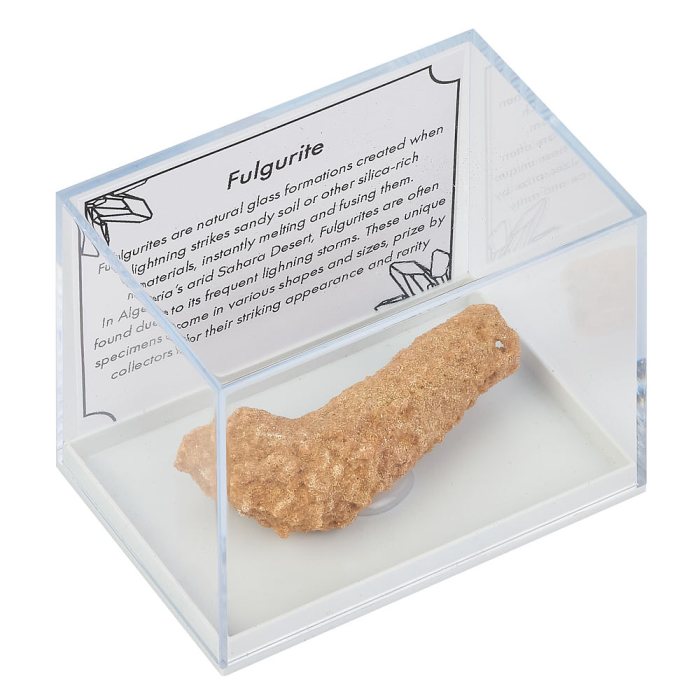 Fulgurite (Lightening Stone) in Plastic Box, Morocco (1pc)