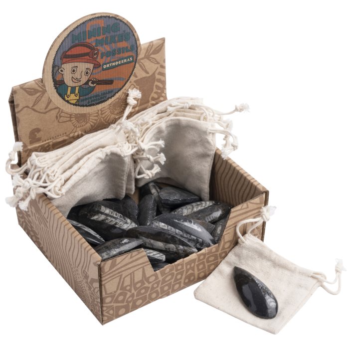Mining Mike's Orthoceras Retail Box (25 Piece) NETT