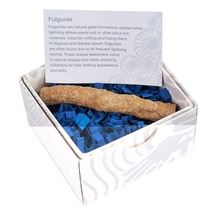 Fulgurite (Lightening Stone) Morocco, 3-4" in Gift box (1pc)
