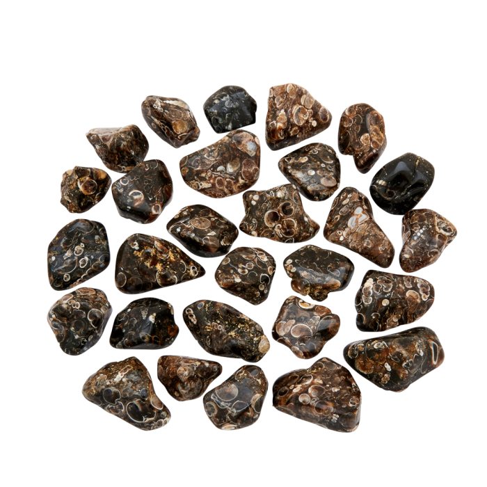 Agate Turitella 20-30mm Med Tumblestone (250g) NETT