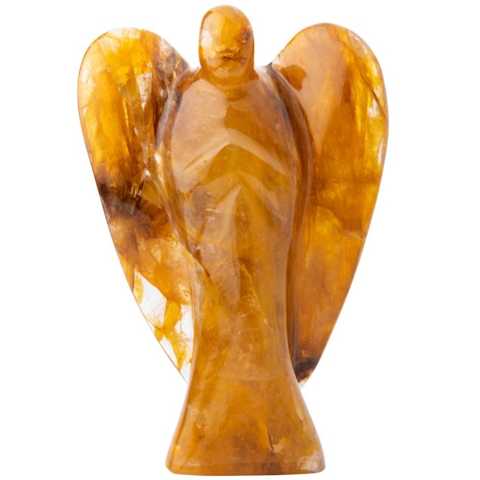 7-8" Angel Yellow Hematoid (1 Piece) NFD