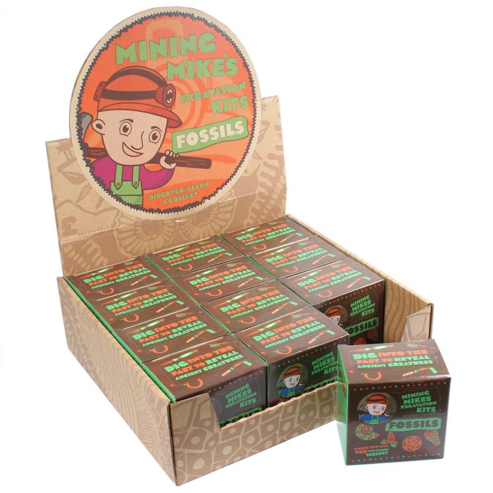 Mining Mike's (Genuine) Fossil Excavation Kit Retail Box (12 Piece) NETT