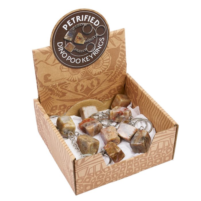 Tumbled Coprolite Keyring in Retail Box (10pcs) NETT