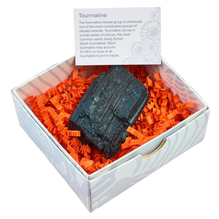 Black Tourmaline Large, Gift Boxed with ID Card (1pcs) NETT