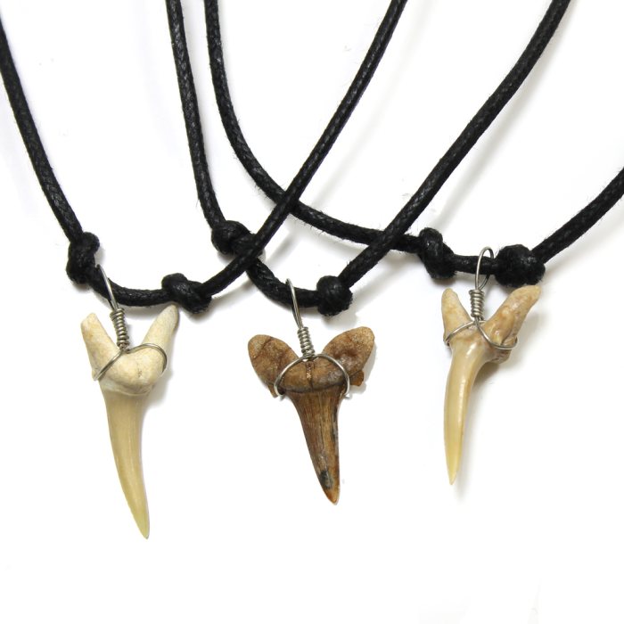 Shark Tooth Adjustable Cord Necklace (10 Pieces) NETT