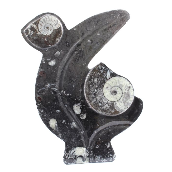 Ammonite Plaque Stand 25x20cm (1 Piece) NETT