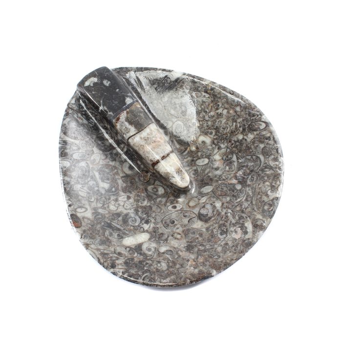 4.5" Fossil Stone Orthoceras Teardrop Dish (1pc) NETT