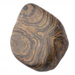 Category Stromatolite image
