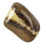 Category Septarian image